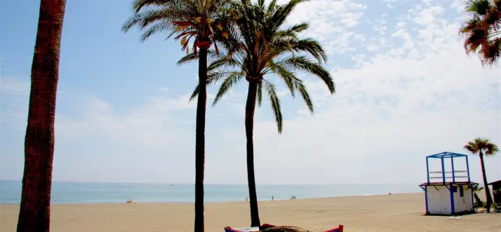 Краткосрочная аренда пентхауса в Estepona 1