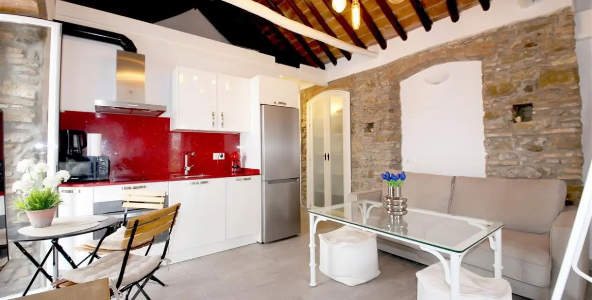 Short-term rent of penthouse in Estepona 3