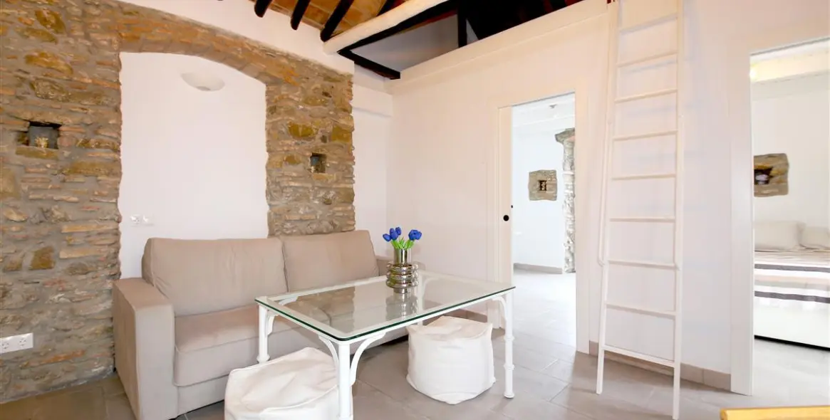 Short-term rent of penthouse in Estepona 5