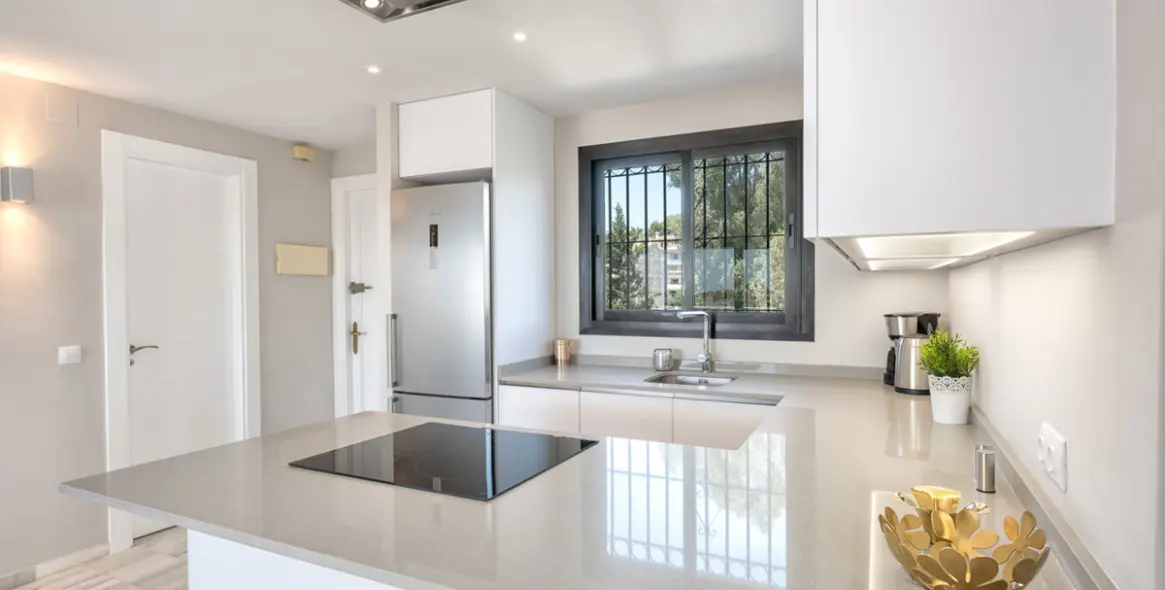 Short-term rent of penthouse in Calahonda 2