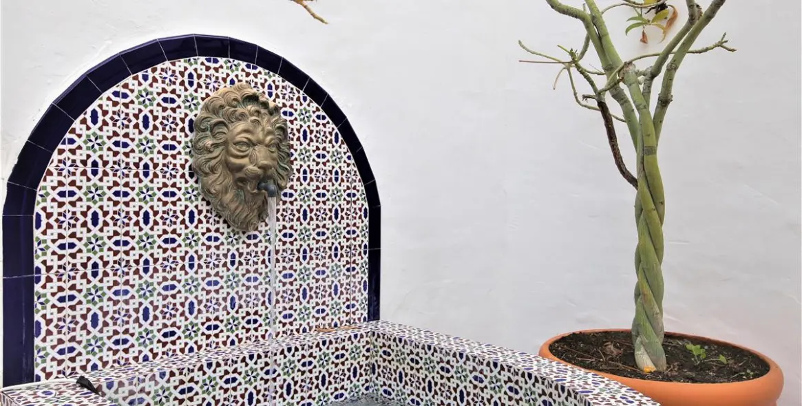 Short-term rent of ground floor apartment in Marbella 19