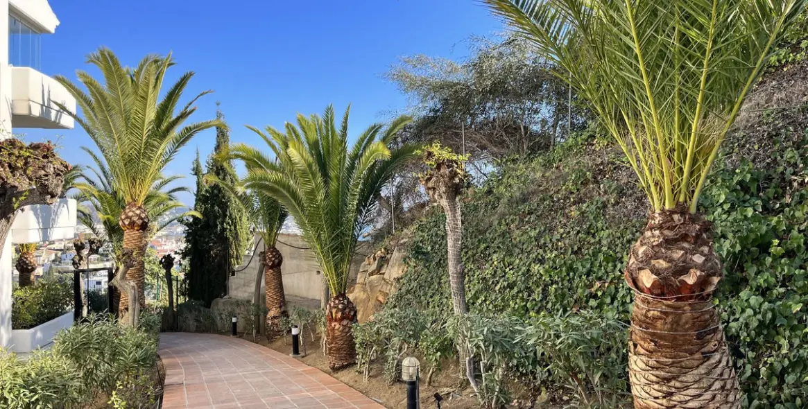 Short-term rent of middle floor apartment in Riviera del Sol 4
