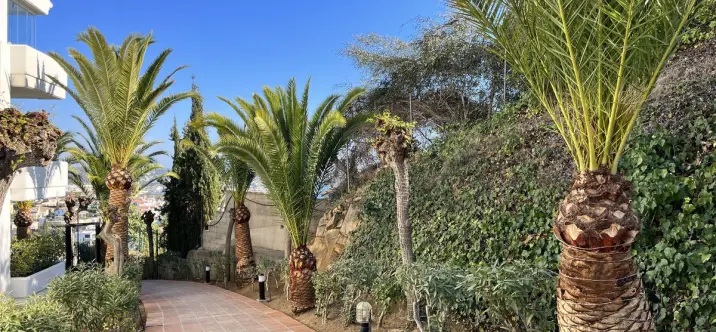 Short-term rent of middle floor apartment in Riviera del Sol 3