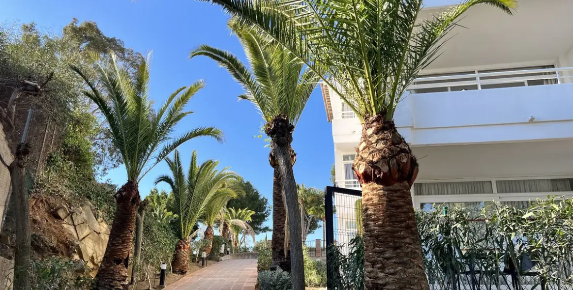 Short-term rent of middle floor apartment in Riviera del Sol 5