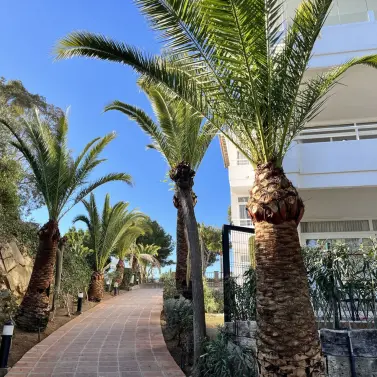 Short-term rent of middle floor apartment in Riviera del Sol