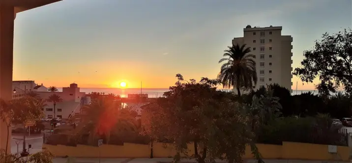 Short-term rent of ground floor apartment in Estepona 0