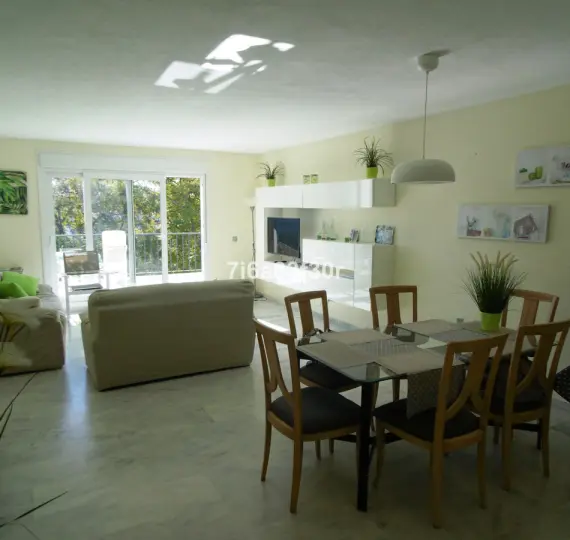 Short-term rent of penthouse in Costalita