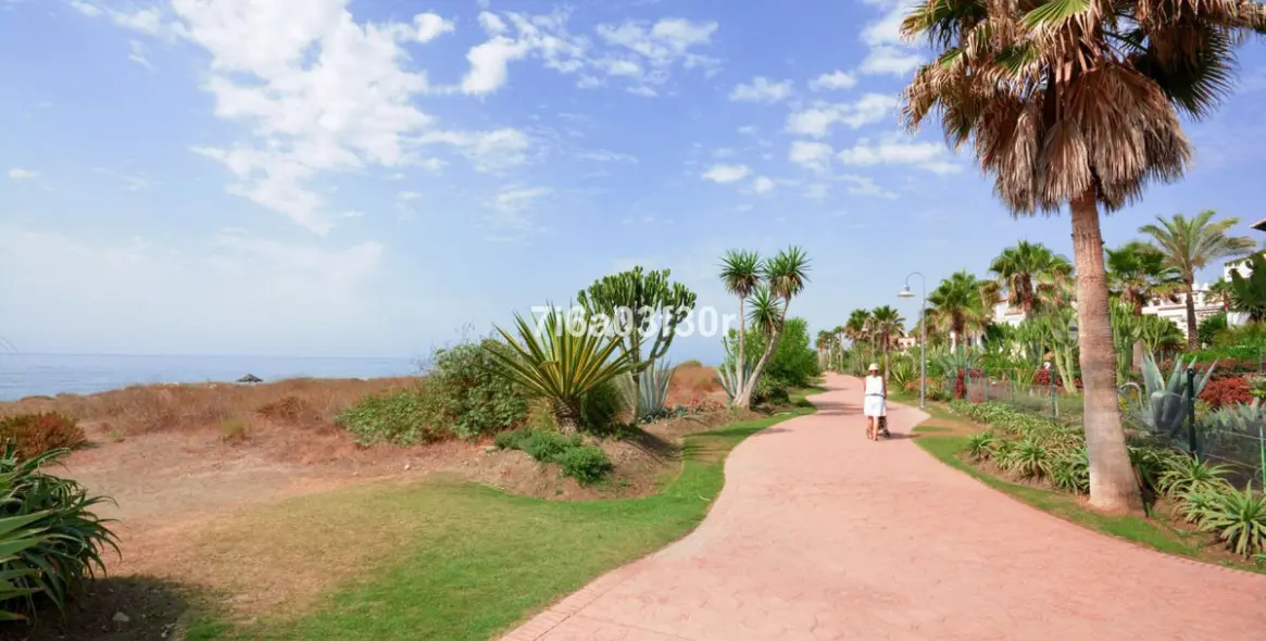 Краткосрочная аренда пентхауса в Costalita 28