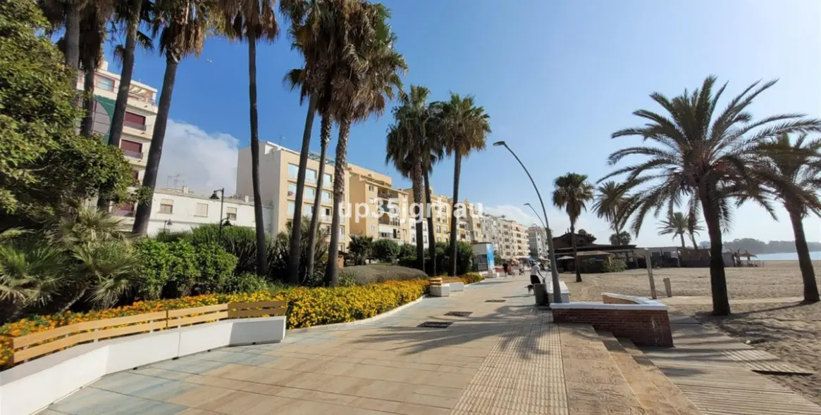 Long-term rent of studio in Estepona 1