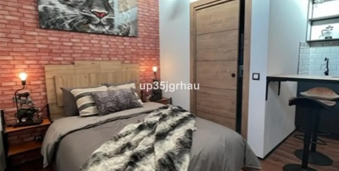 Long-term rent of studio in Estepona 3