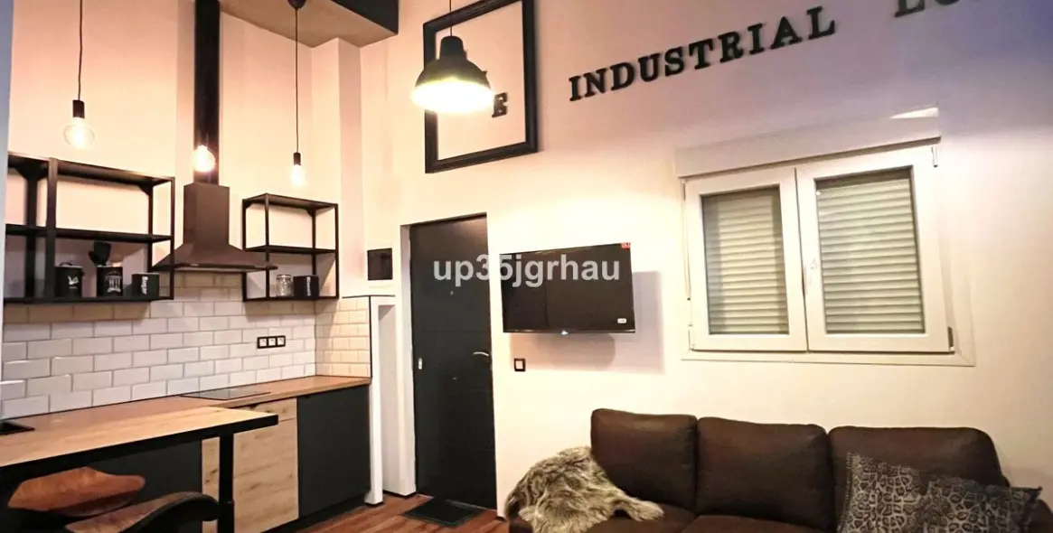 Long-term rent of studio in Estepona 5
