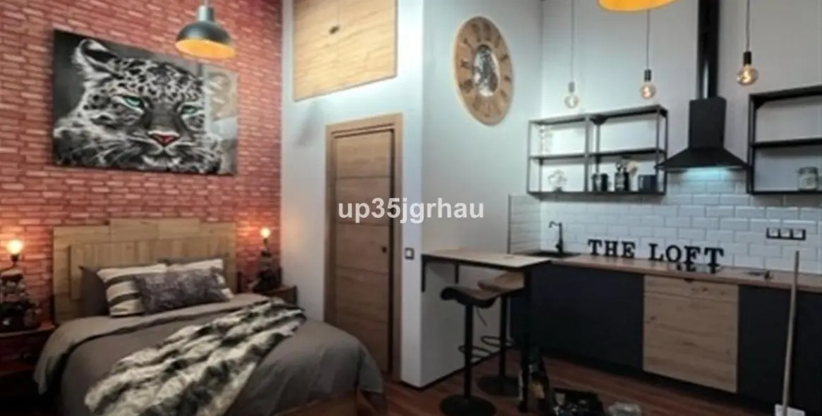 Long-term rent of studio in Estepona 9