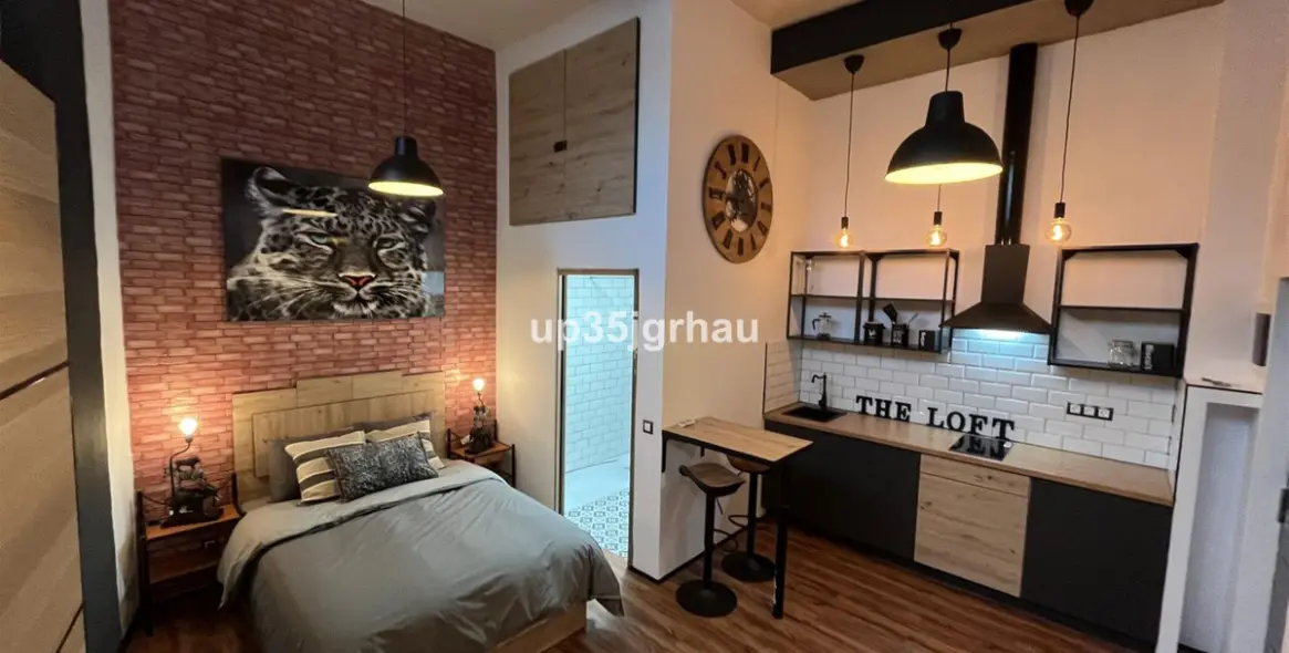 Long-term rent of studio in Estepona 14