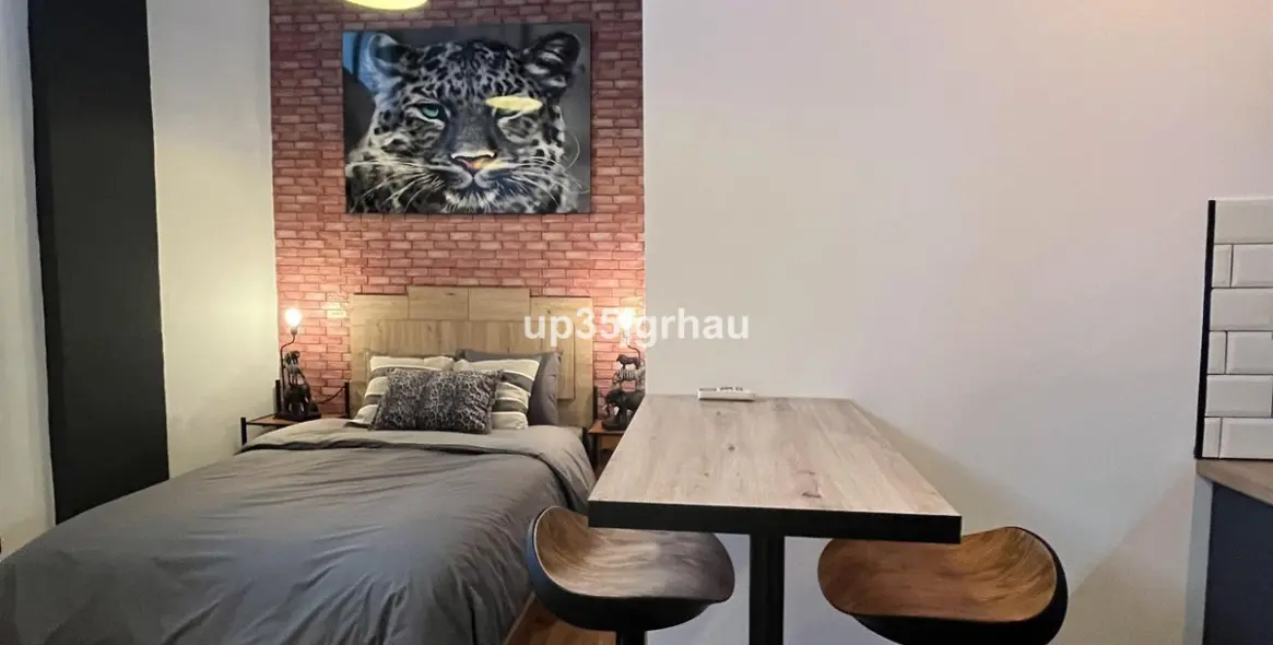 Long-term rent of studio in Estepona 19