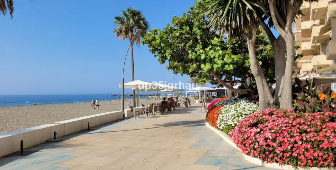 Long-term rent of studio in Estepona 31