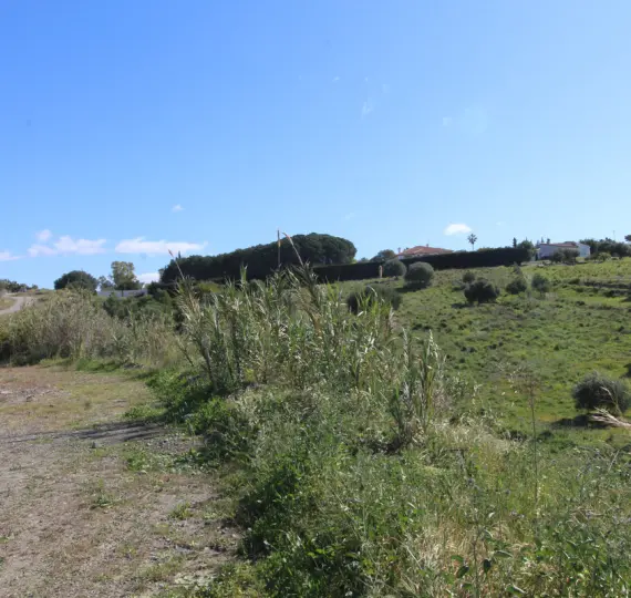 Parcela residencial R3623102