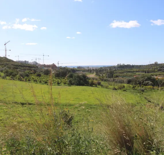 Parcela residencial R3623102