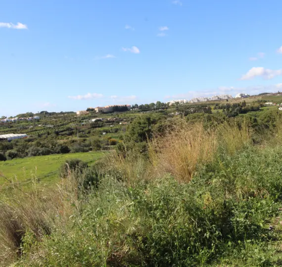 Parcela residencial R3623102