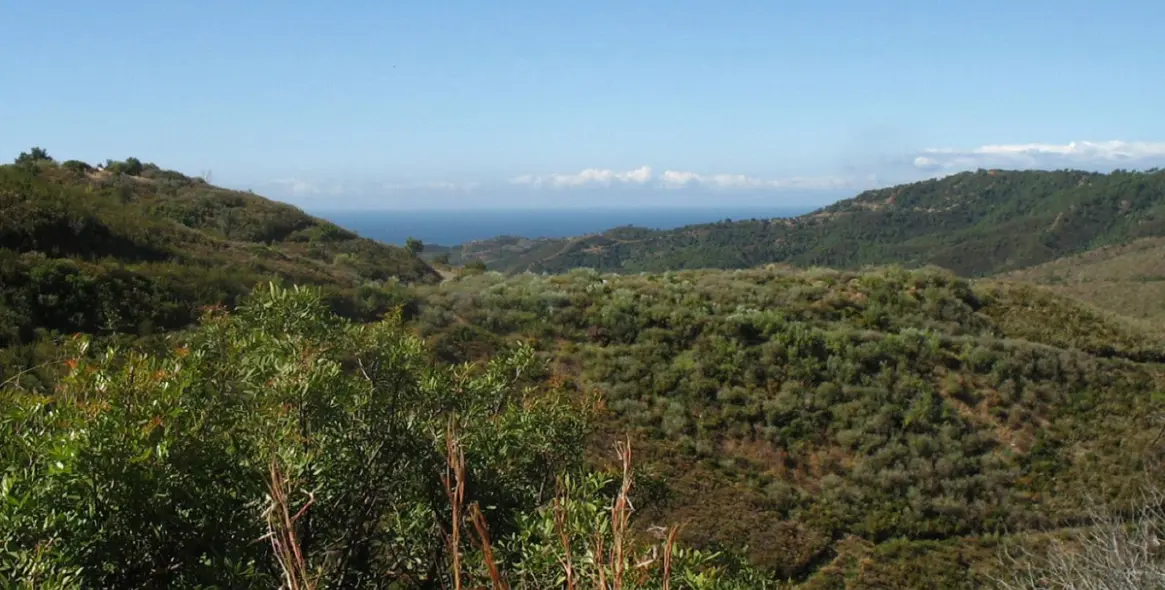 Venta de parcela residencial en Benahavís (distrito Benahavís) 3