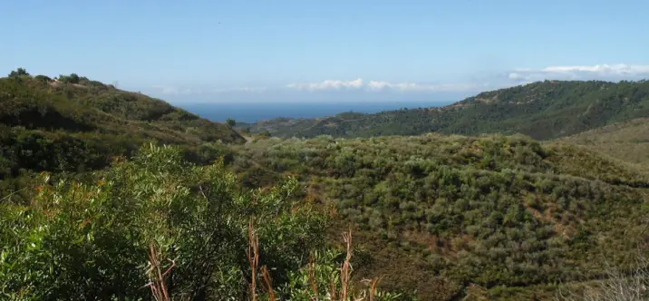 Parcela residencial R4744930 2