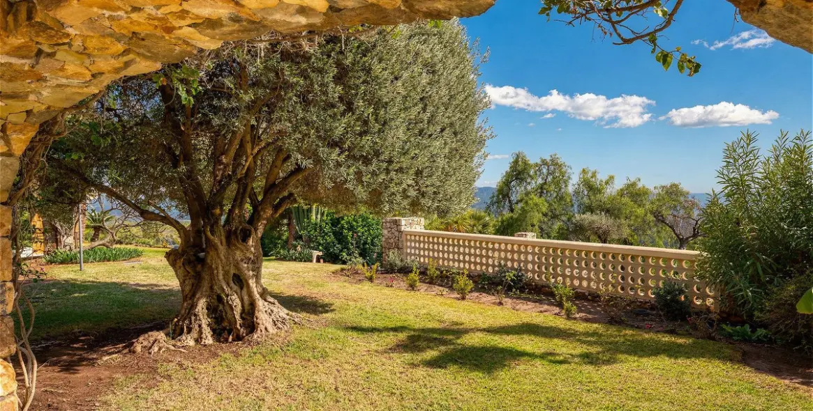 Sale of detached villa in Río Real 33