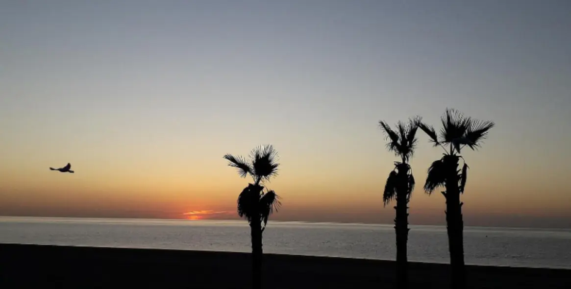 Sale of hotel in Estepona 15