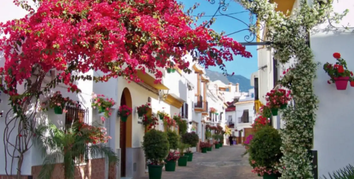 Sale of hotel in Estepona 16