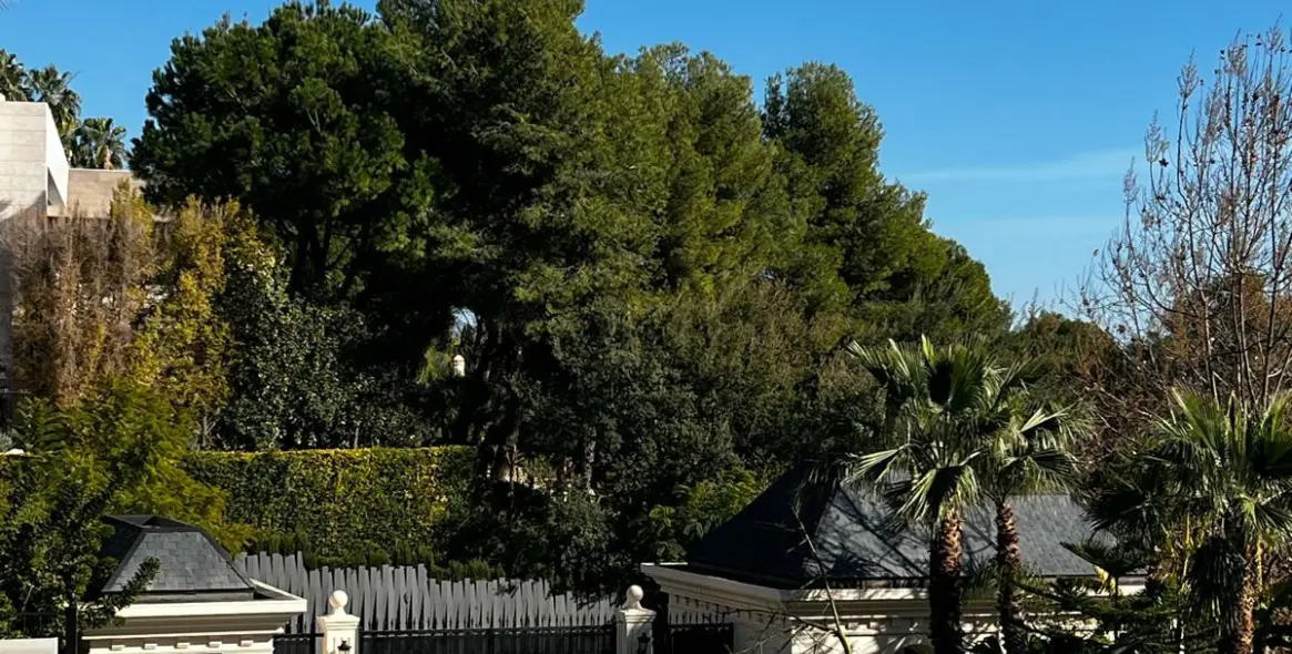 Sale of detached villa in Marbella (district The Golden Mile) 9