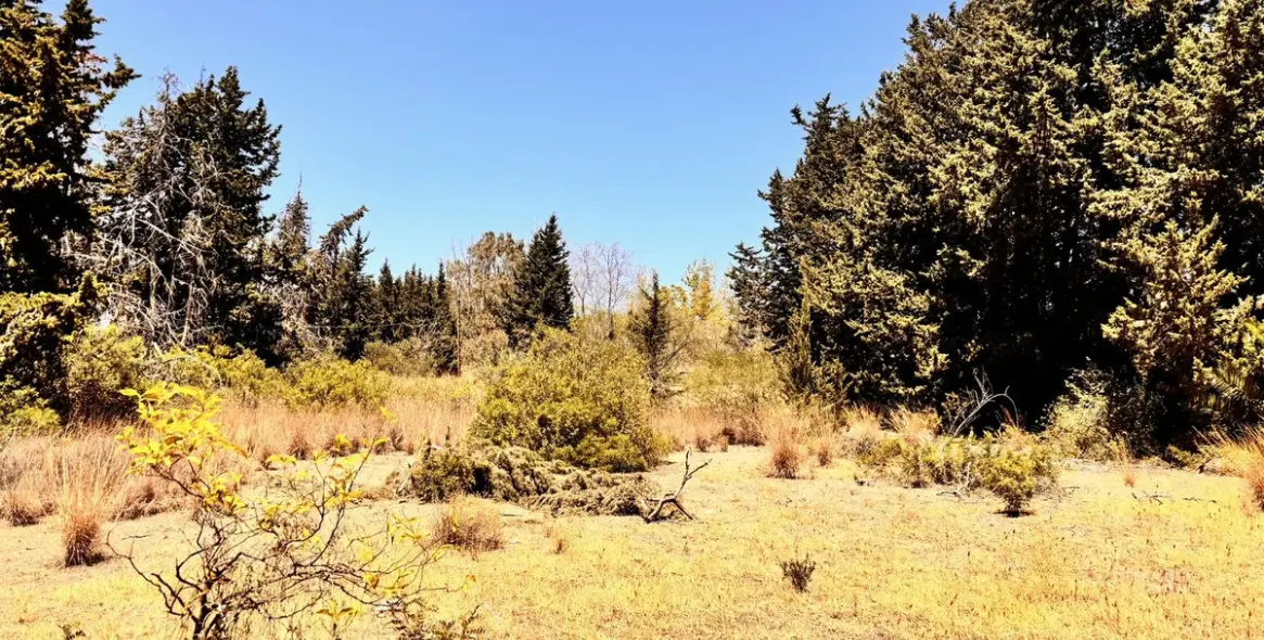 Продажа  жилого участка в Estepona (район Estepona) 2