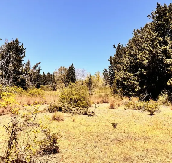 Parcela residencial R4770388