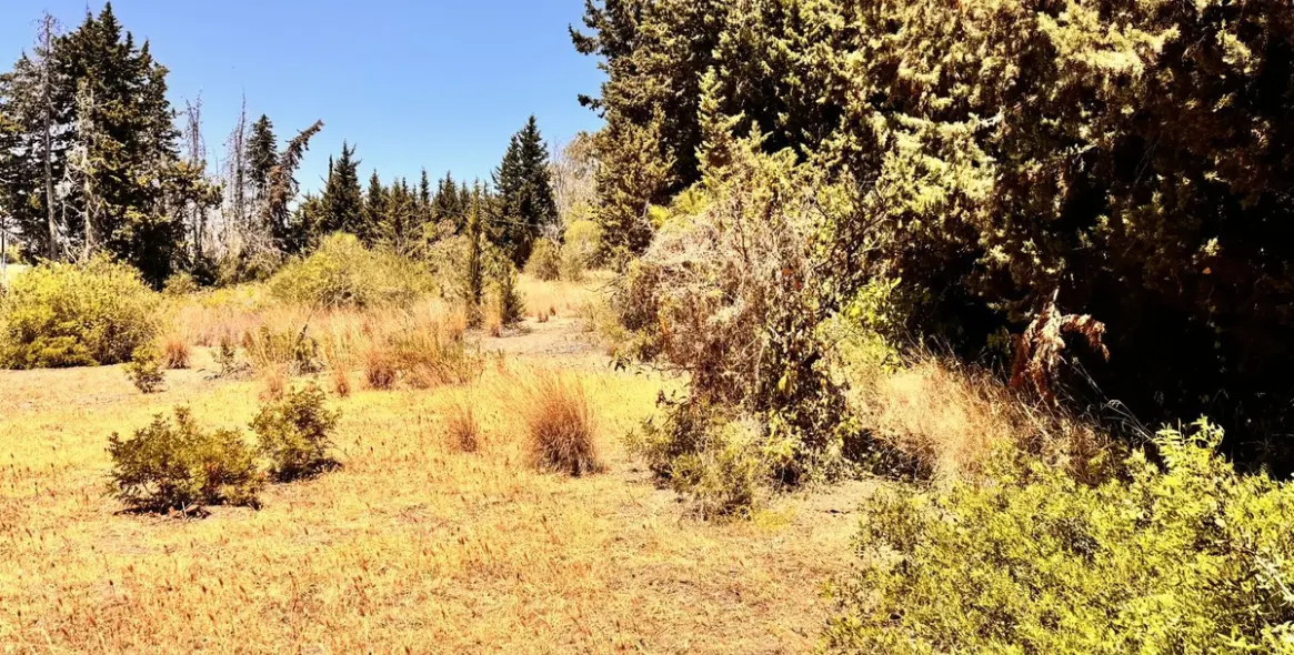 Продажа  жилого участка в Estepona (район Estepona) 3