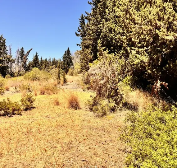 Parcela residencial R4770388