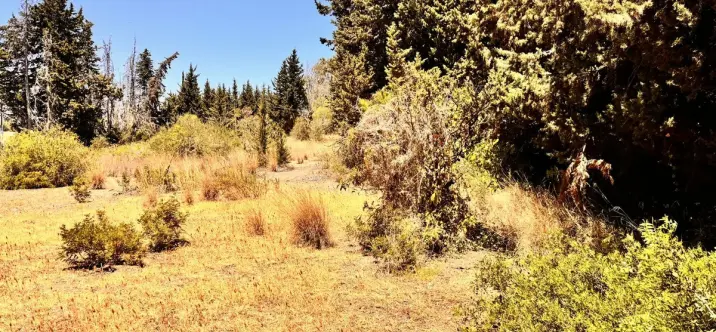 Parcela residencial R4770388 2