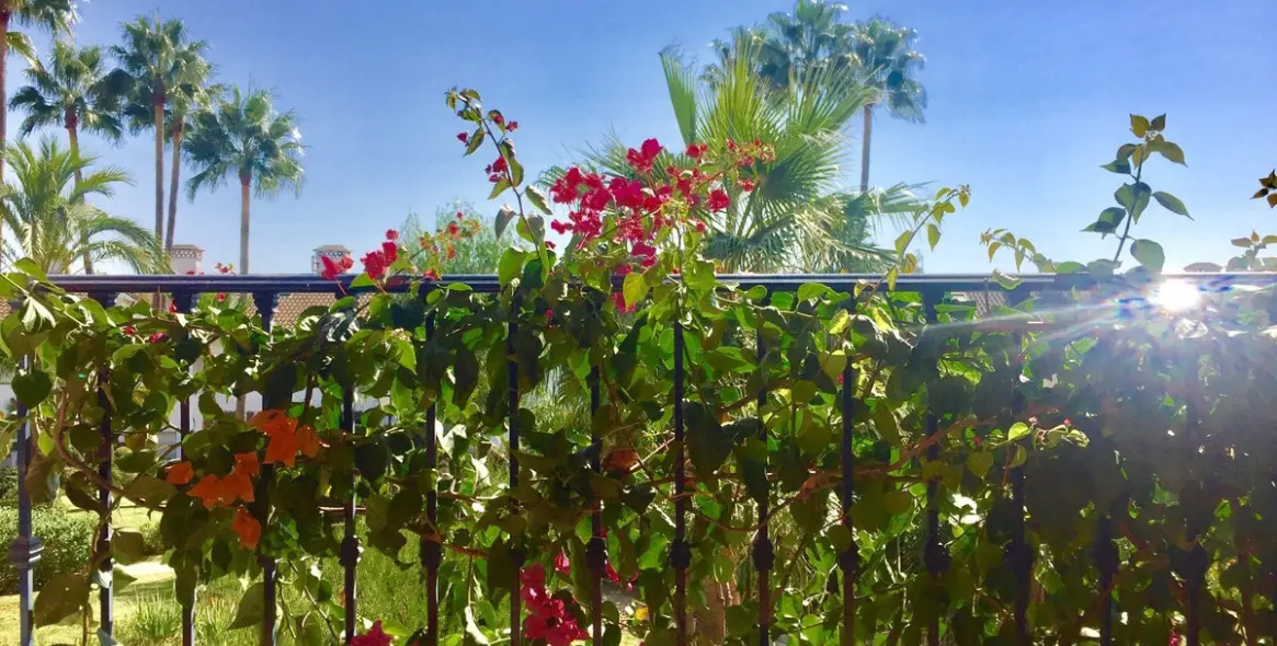 Short-term rent of townhouse in Atalaya 20