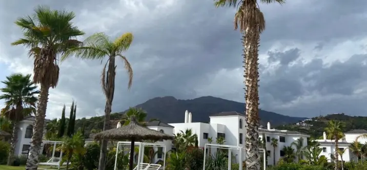 Short-term rent of penthouse in Estepona 3