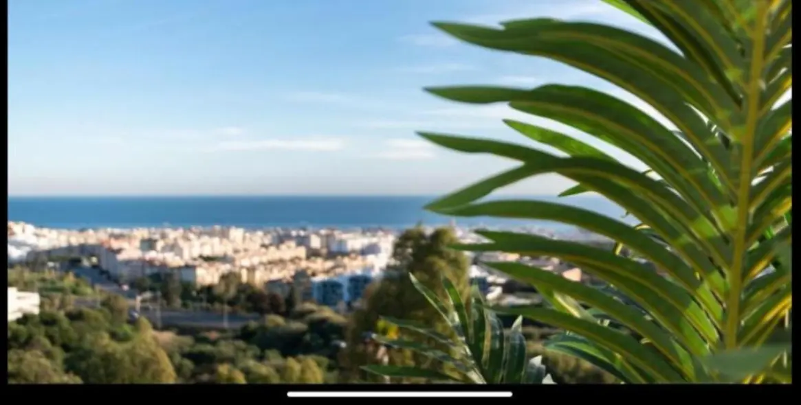 Краткосрочная аренда пентхауса в Estepona 23