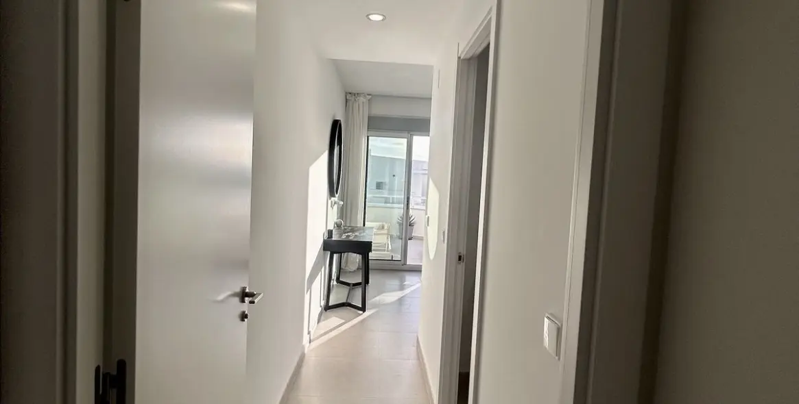 Long-term rent of penthouse duplex in Cancelada 13