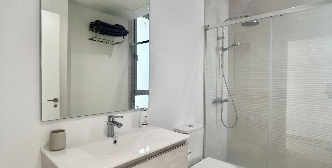 Long-term rent of penthouse duplex in Cancelada 16