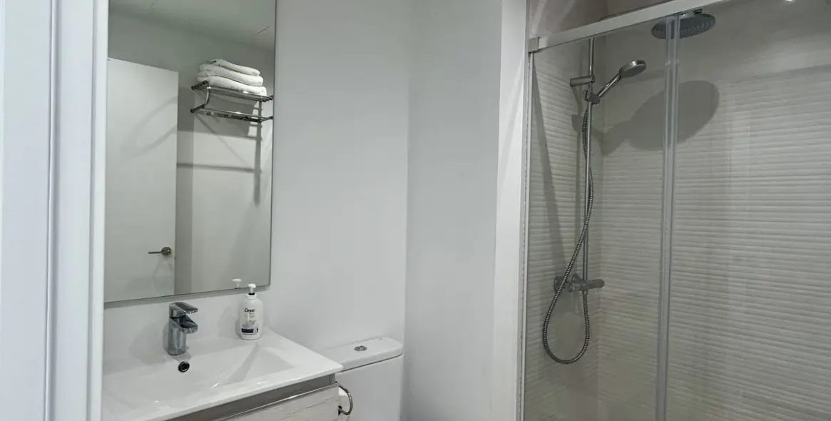 Short-term rent of penthouse duplex in Cancelada 23