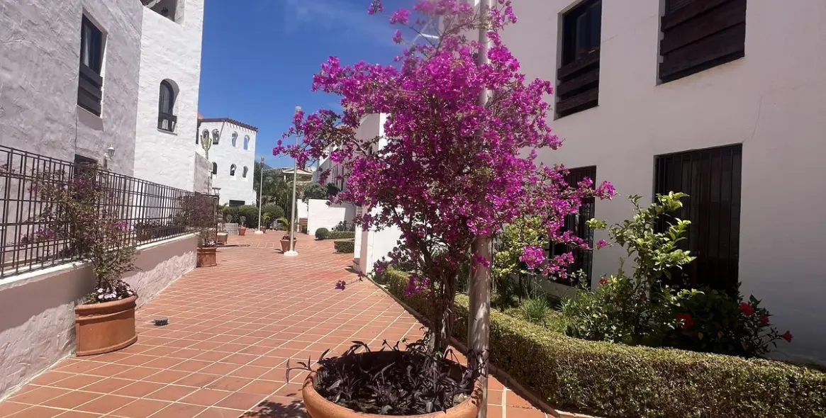 Long-term rent of ground floor apartment in Nueva Andalucía 27