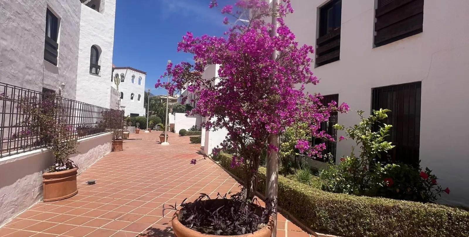 Alquiler a largo plazo de apartamento en planta baja en Nueva Andalucía 23