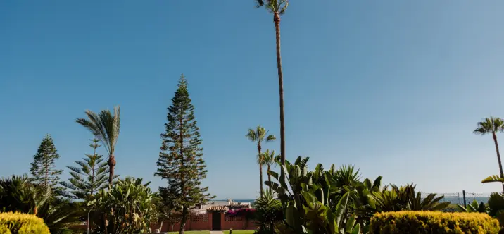 Long-term rent of middle floor apartment in Costabella 4