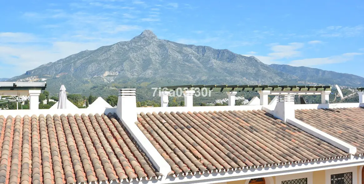 Краткосрочная аренда пентхауса в Aloha 12