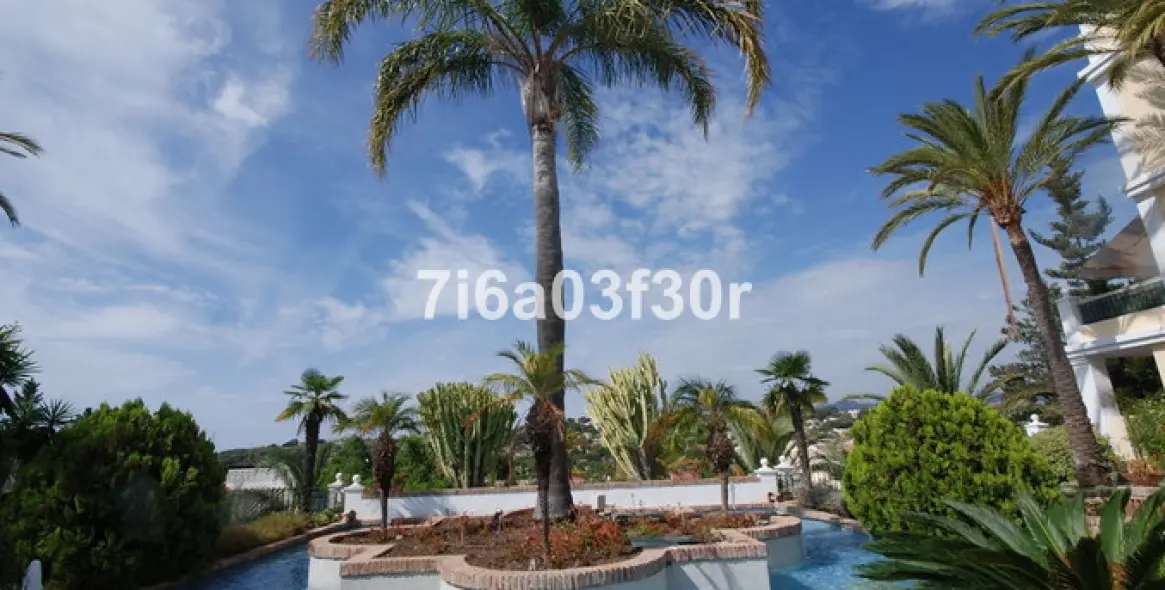 Short-term rent of penthouse in Aloha 36