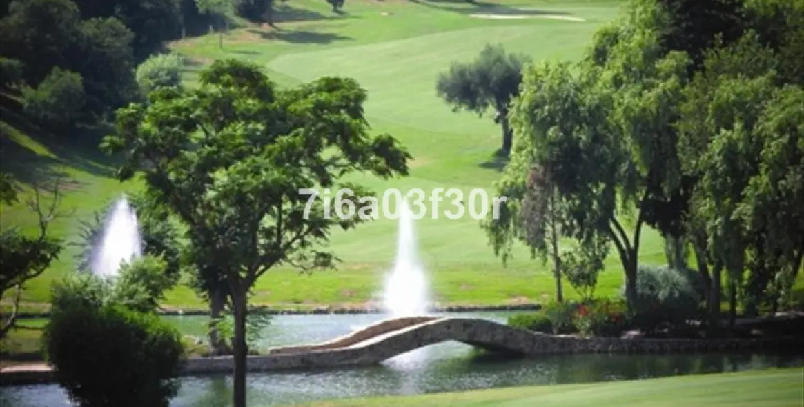 Short-term rent of penthouse in Aloha 39