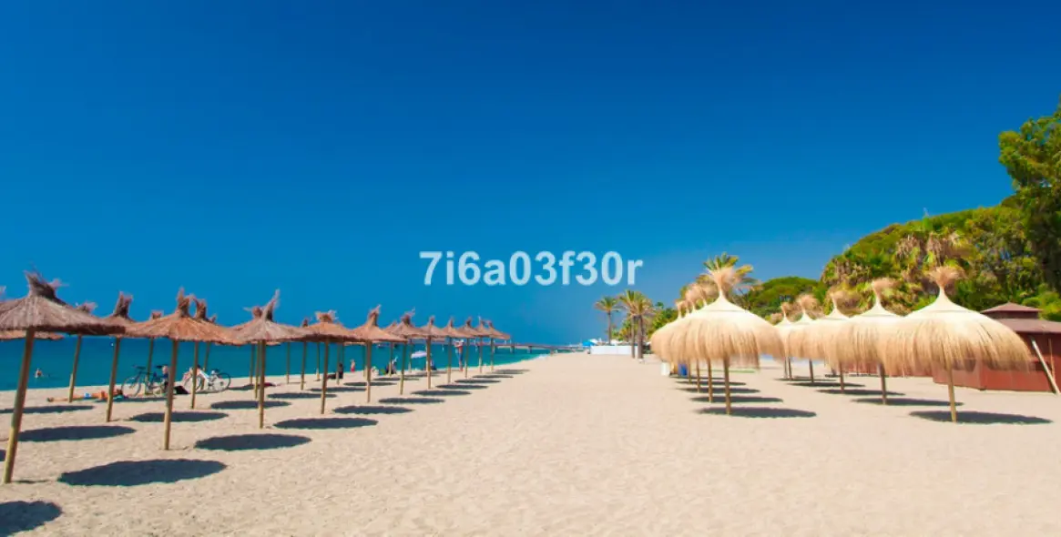 Short-term rent of penthouse in Aloha 46