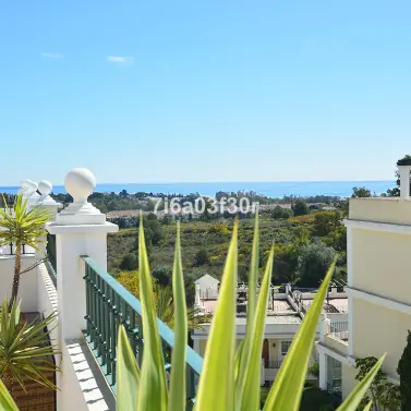 Short-term rent of penthouse in Aloha