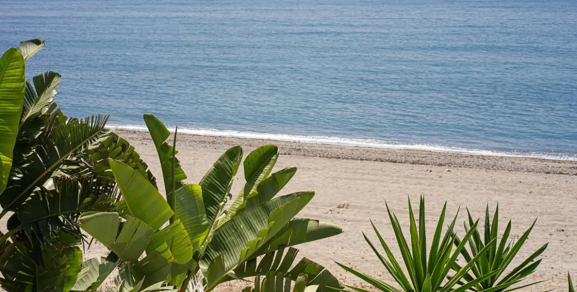 Short-term rent of middle floor apartment in New Golden Mile 24