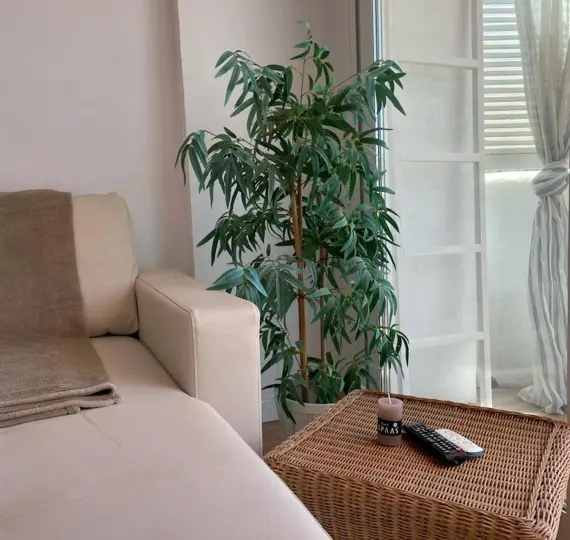 Краткосрочная аренда пентхауса в Marbesa