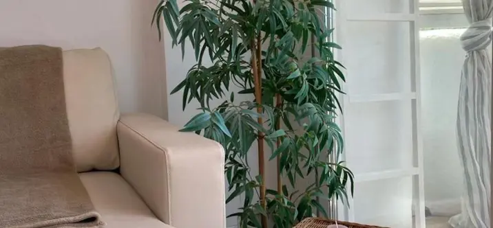 Краткосрочная аренда пентхауса в Marbesa 2